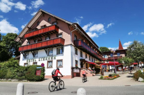 Отель Wochner's Hotel-Sternen  Шлухзее